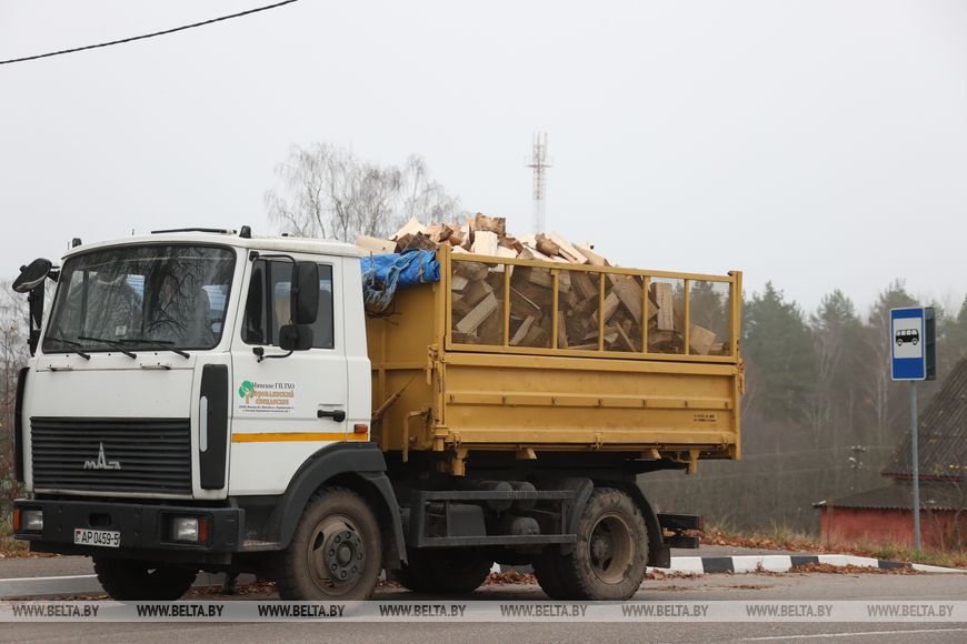 Будет тепло. Дрова с чемпионата по колке доставили одиноким пожилым жителям Минского района