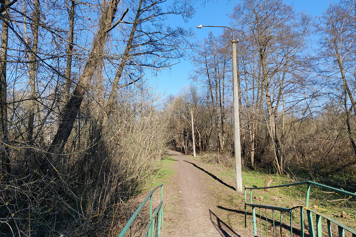 И вправду Зеленая! Как преобразилась зона возле реки Плисы в Жодино