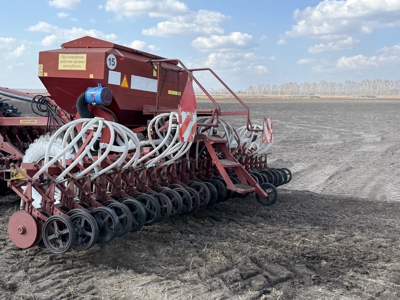 В Минской области посеяно 185 тысяч гектар яровых культур